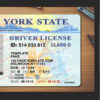 fake new york drivers license