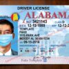 alabama drivers license template