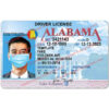 blank alabama drivers license template