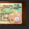 blank georgia drivers license template 02