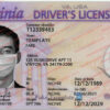 virginia drivers license template