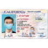 california drivers license psd download