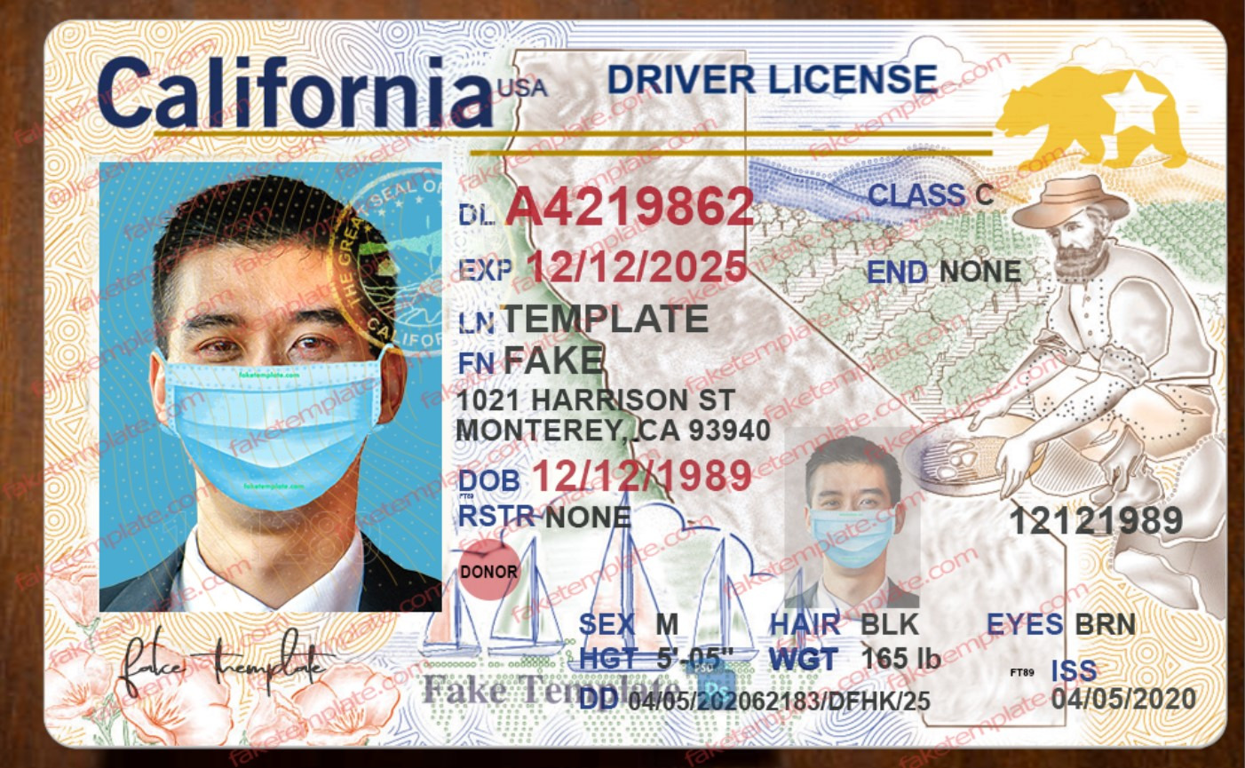 California Driver License Template