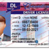 connecticut-driver-license-template-01