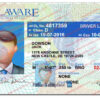 delaware-driver-license-template-01