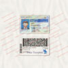 delaware-driver-license-template-04