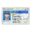 delaware-driver-license-template-06