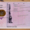 french-driving-licence-back-01