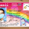 hawaii driver license template