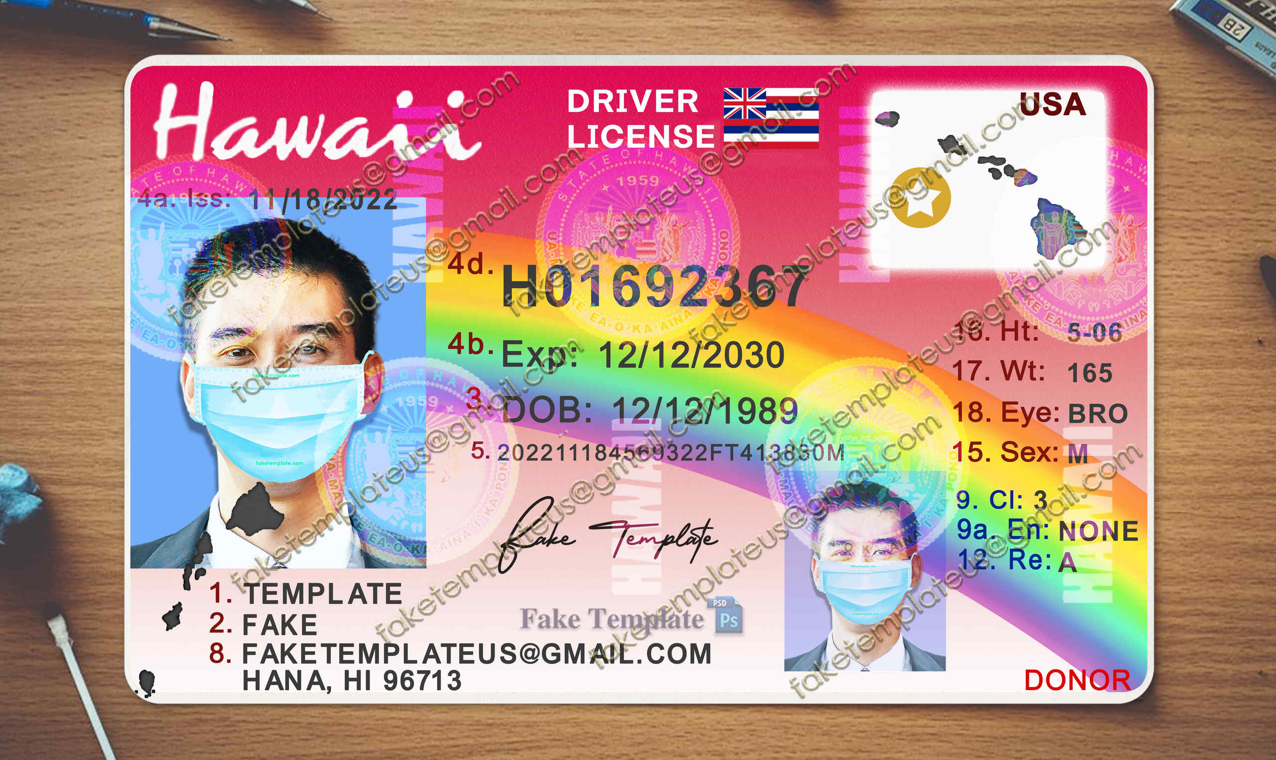 hawaii driver license template