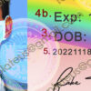 hi driver license psd