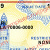 free louisiana drivers license template