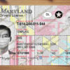 maryland driver license template