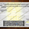 maryland drivers license back