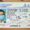 michigan driver license template