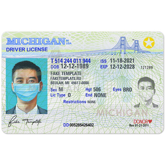 blank michigan drivers license template