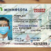 minnesota drivers license template