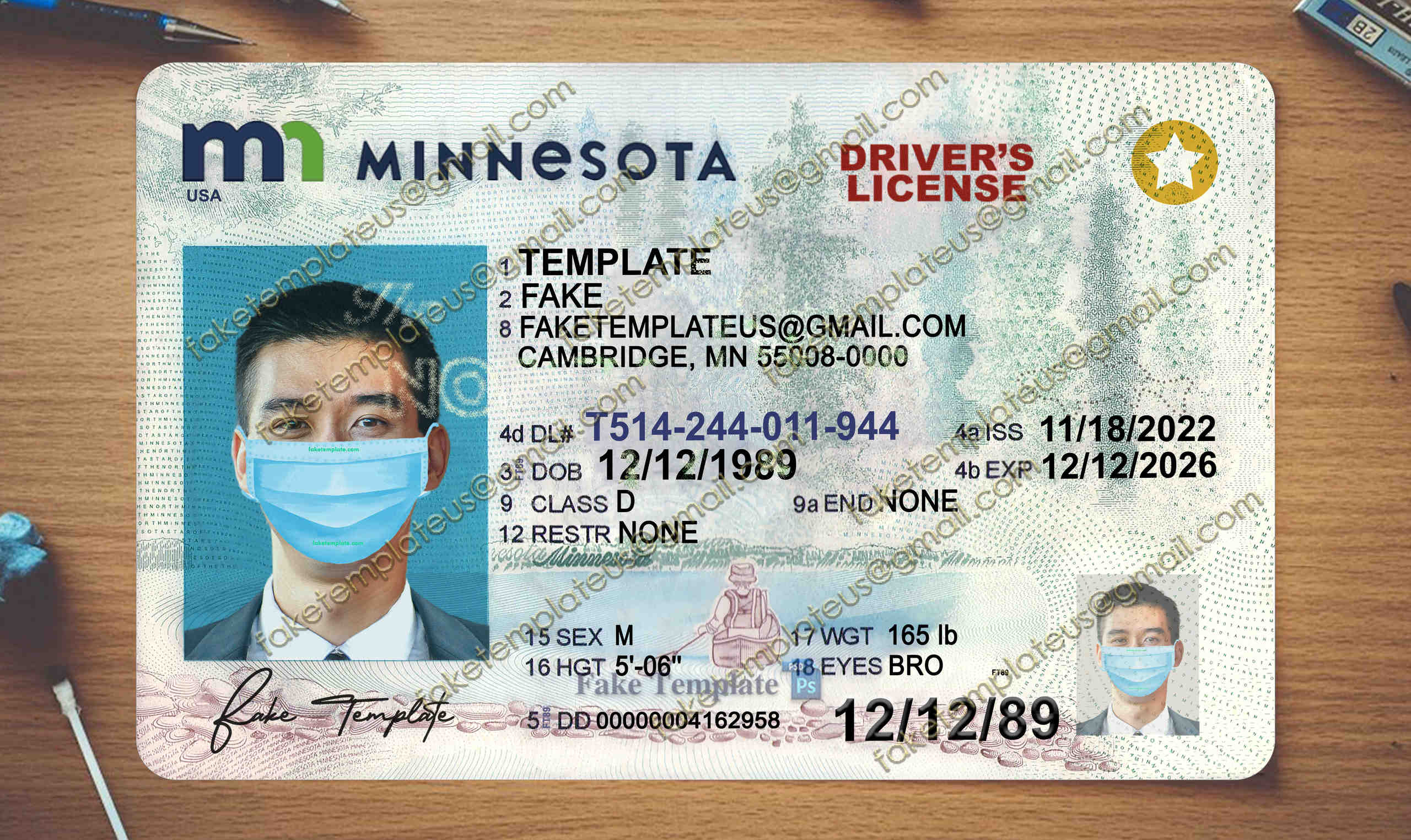 minnesota drivers license template