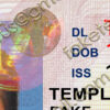 new jersey drivers license psd