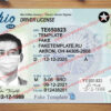 ohio driver license template