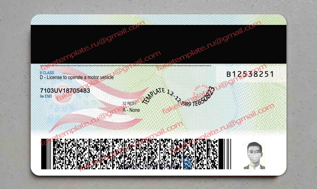 ohio driver license back