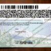 oregon drivers license back