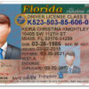 florida-driver-license-template-01