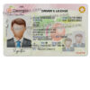 georgia-driver-license-template-01