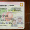 ga-drivers-license-template-02