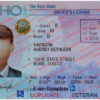 idaho-driver-license-template-01