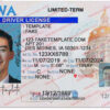 iowa-drivers-license-template-07