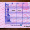 italy-driver-license-back-03