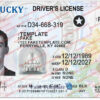 kentucky-drivers-license-template-01