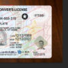 kentucky-drivers-license-template-02