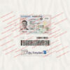 kentucky-drivers-license-template-05