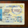 louisiana-drivers-license-template-02