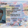 maine-drivers-license-template-01