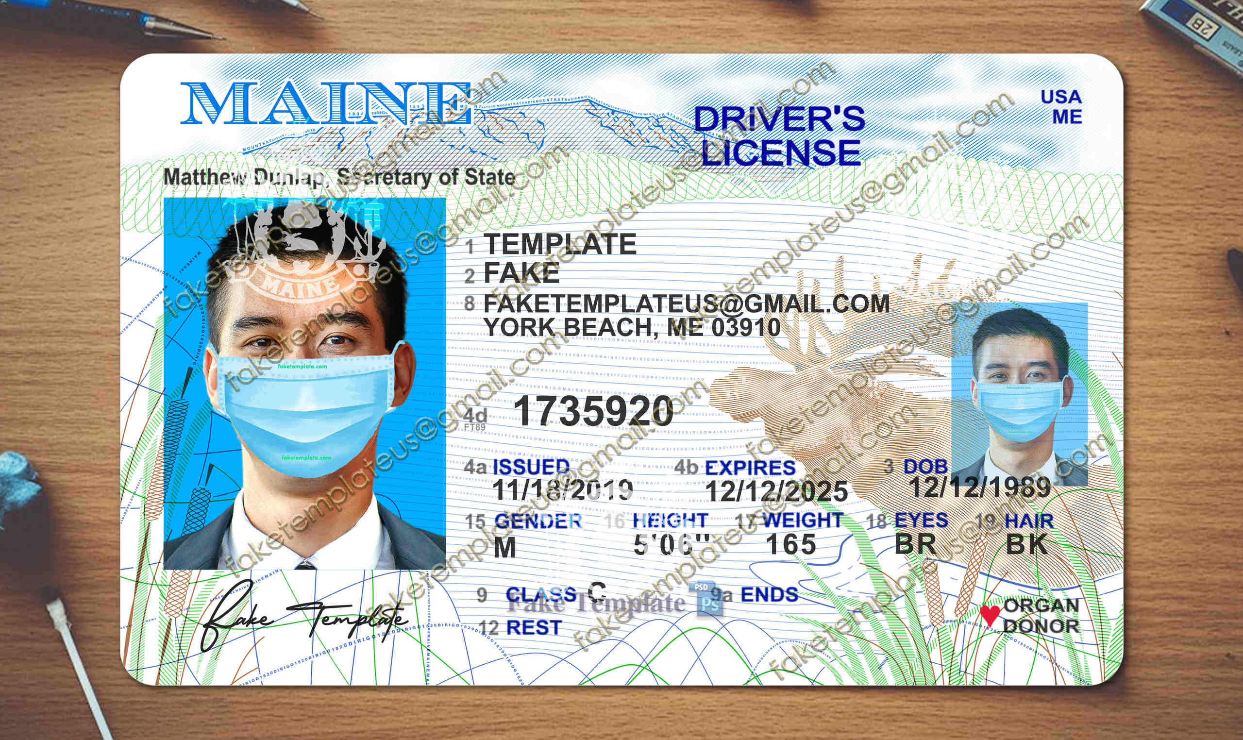 maine driver license template