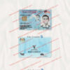 fake malaysia id