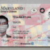 maryland driver license template