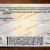 maryland driver license back