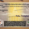 maryland-driver-license-template-03