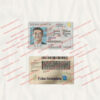 massachusetts driver license template 04