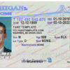 michigan-driver-license-template-01