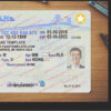 michigan-driver-license-template-02