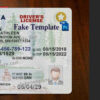 minnesota-drivers-license-template-02