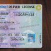 new-hampshire-driver-license-template-02