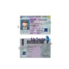 new-hampshire-driver-license-template-05