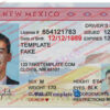 new-mexico-driver-license-template-01