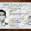 new york driver license template